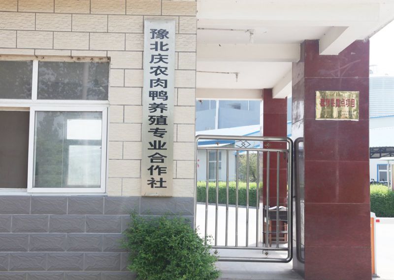 豫北慶農肉鴨專業(yè)合作社